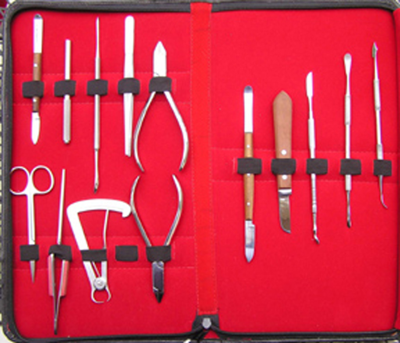 DENTAL TOOL KIT